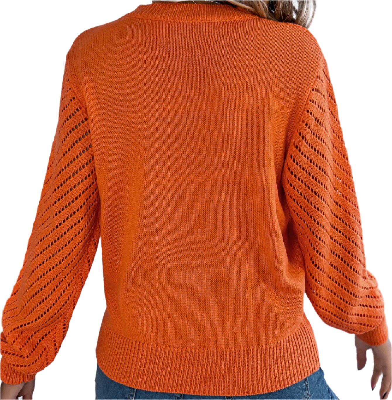 Casual Hollow Cutout Lantern Sleeve Pullover Sweater