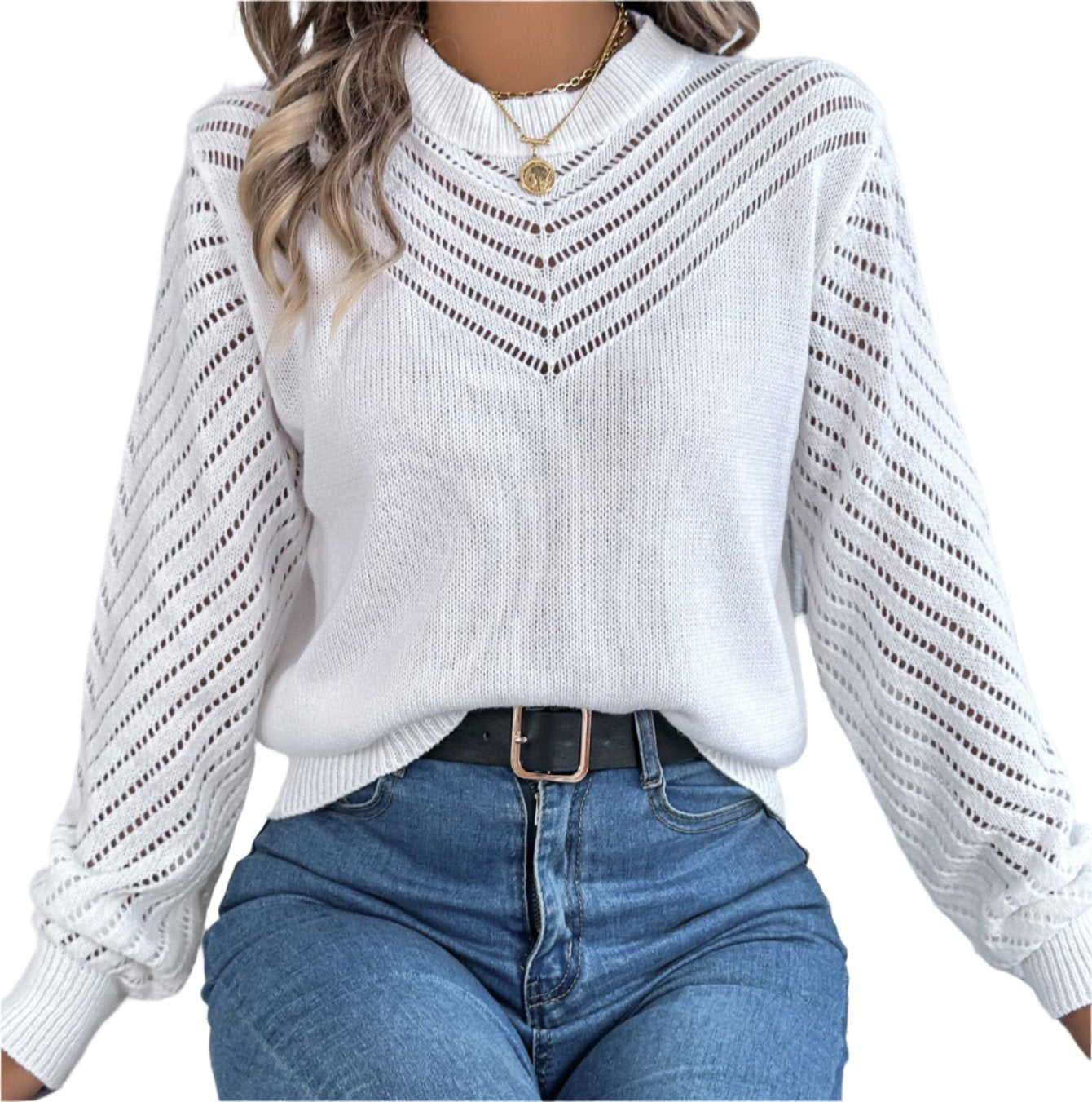 Casual Hollow Cutout Lantern Sleeve Pullover Sweater