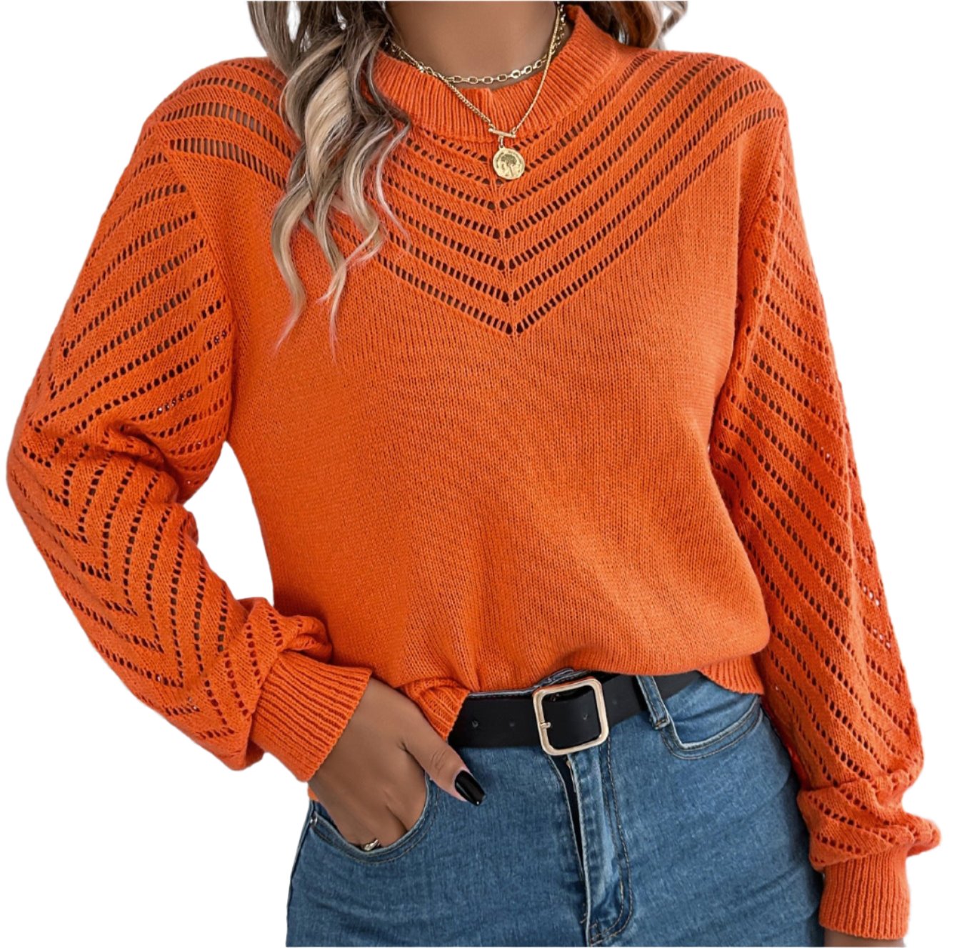 Casual Hollow Cutout Lantern Sleeve Pullover Sweater