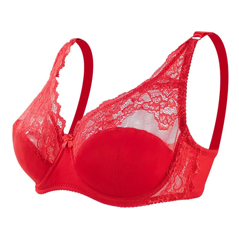 Adjustable Lace Bra Wire Push-up Thin - 85C/D / Burgundy - Bras