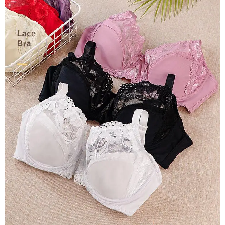 Plump Thin Lace Bra - Bras