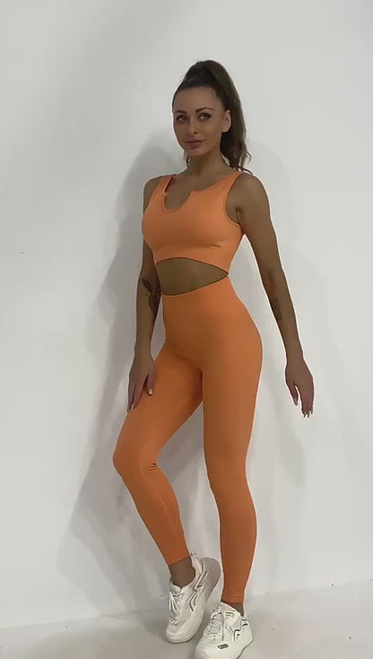 Quick Drying Seamless Yoga Fitness Sports Bra Set